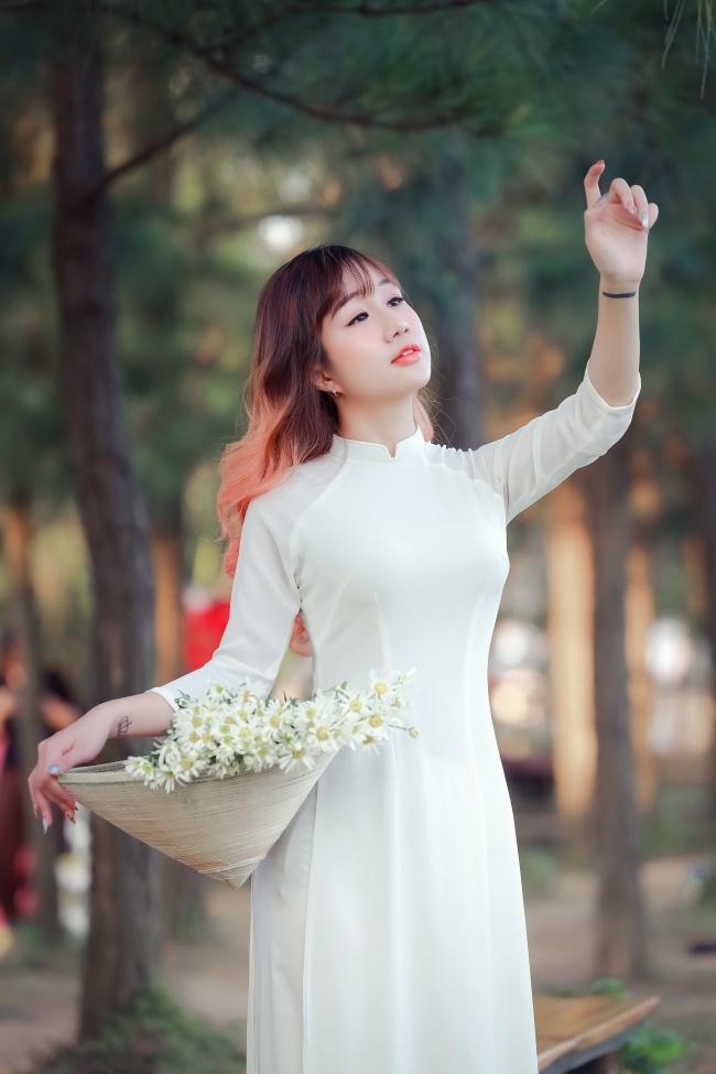 成人视频 最新2